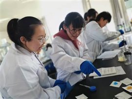 09ad10575032756ceb1d745f233a51c8_