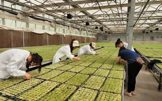 42ac0506850f6072.jpg 42ac0506850f6072.jpg