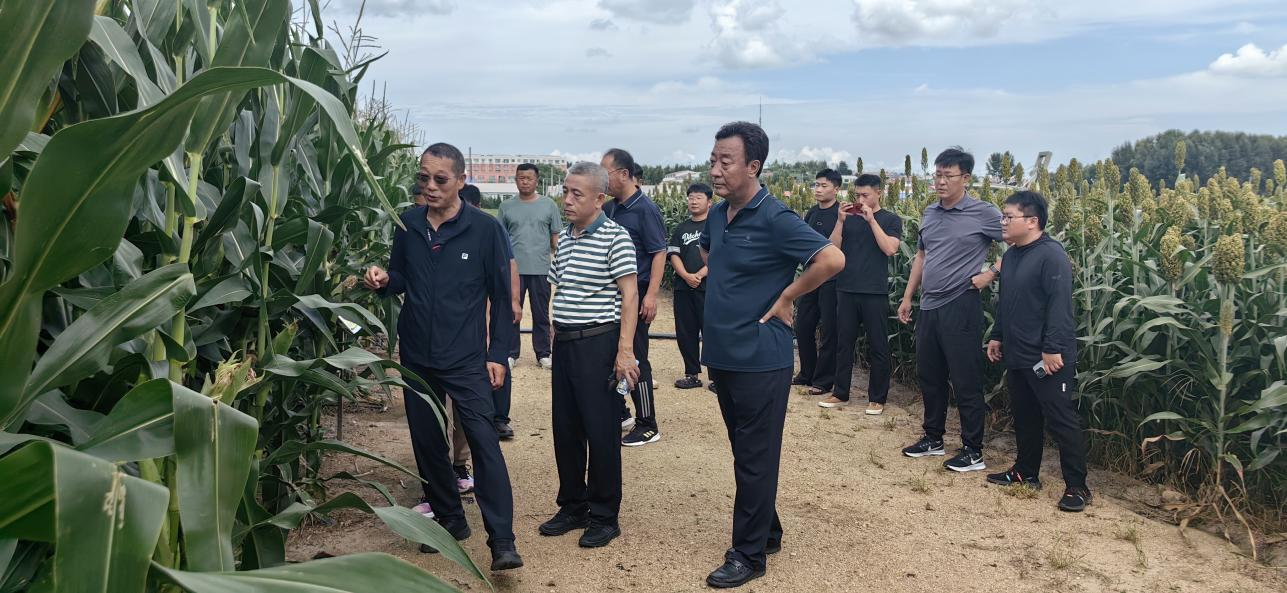 图片4.png 图片4.png