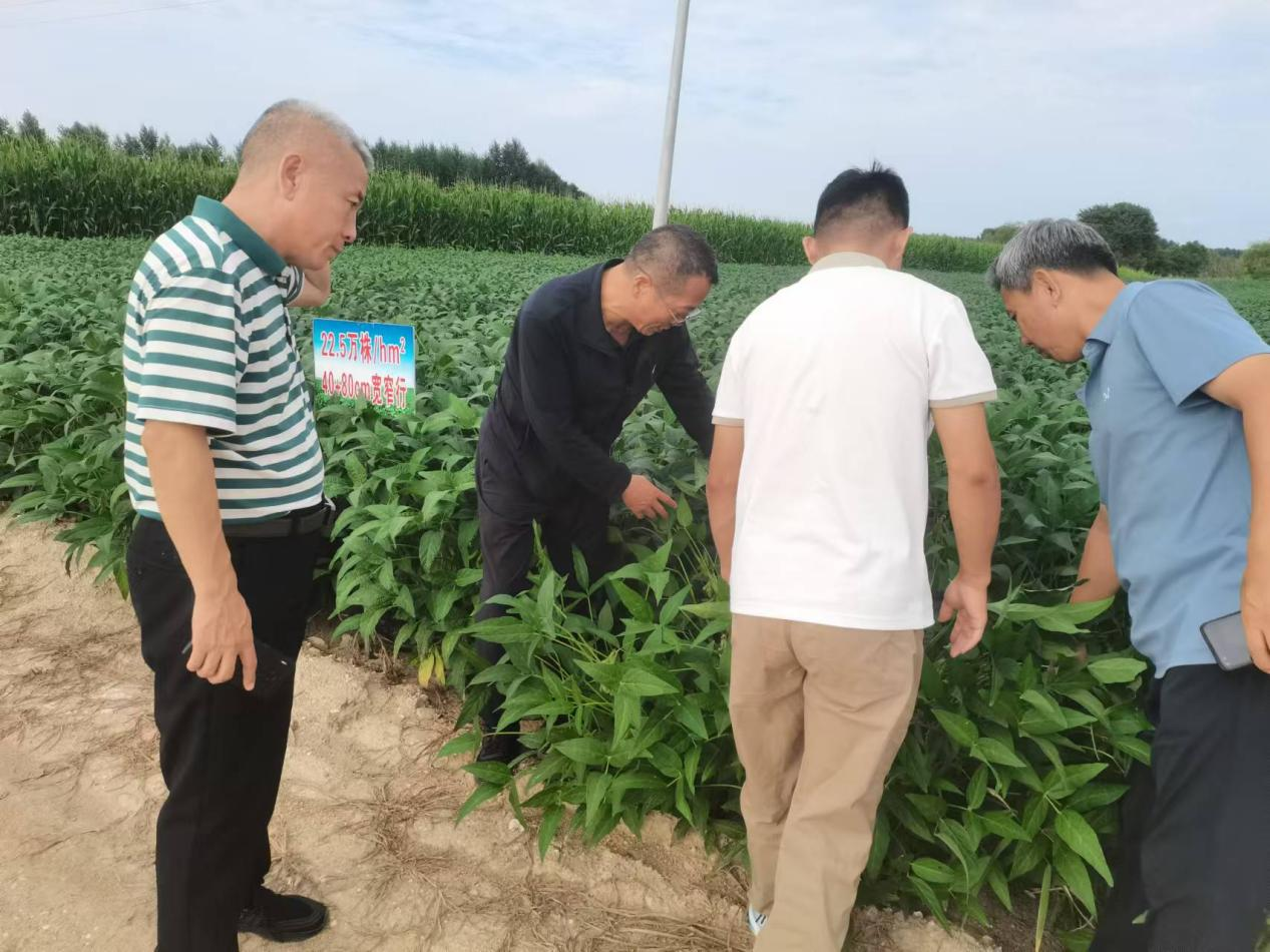 图片5.png 图片5.png