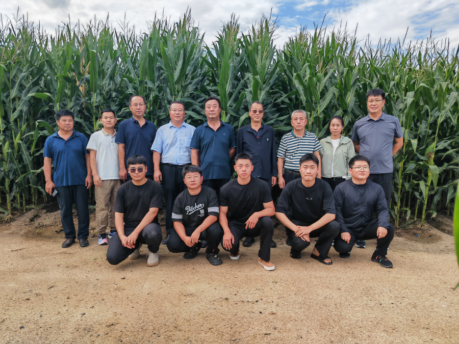 图片6.png 图片6.png