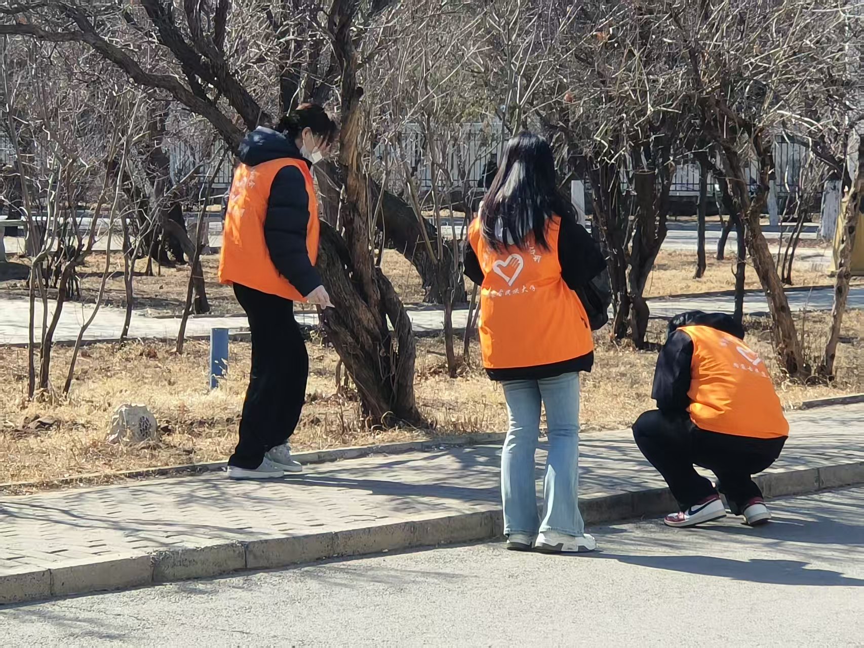 微信图片_20250318182228.jpg 微信图片_20250318182228.jpg