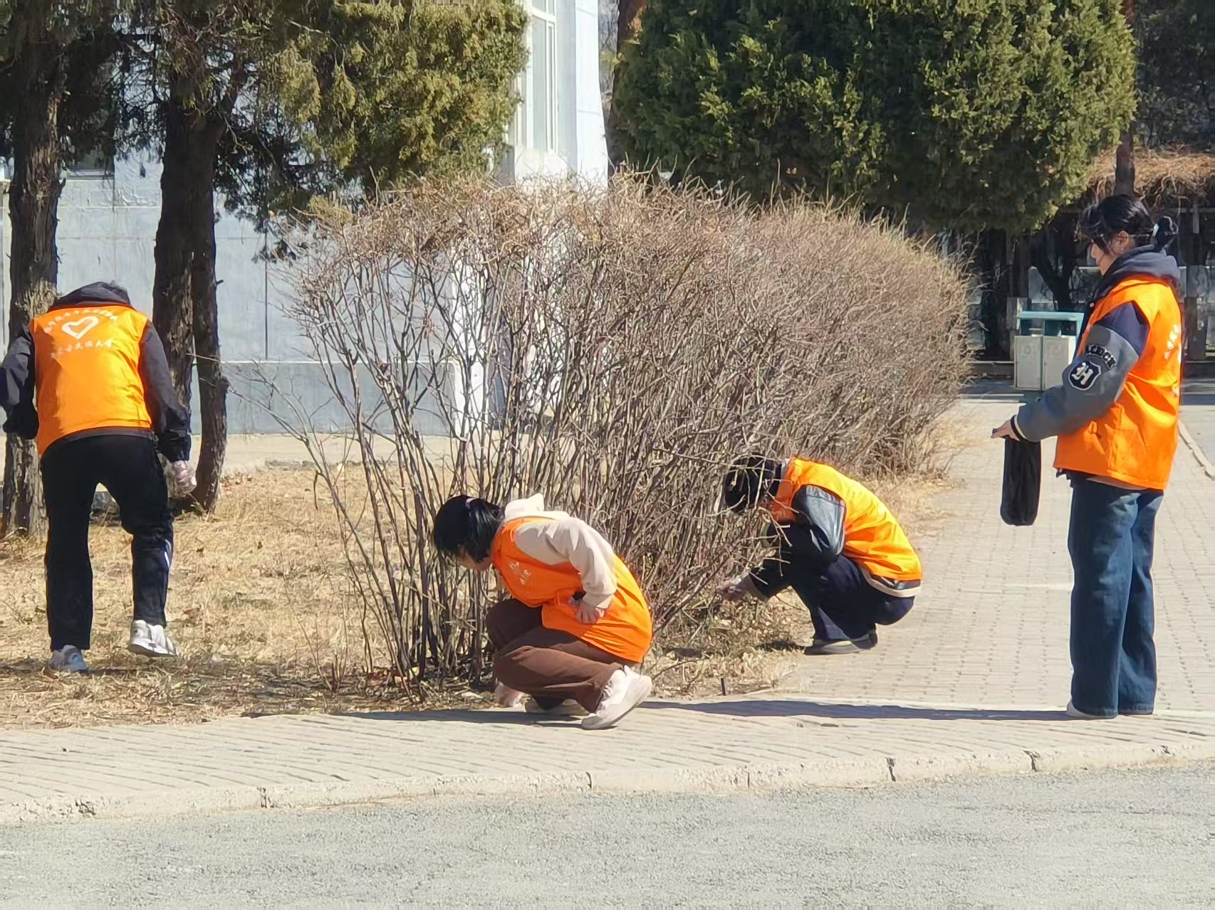 微信图片_20250318182222.jpg 微信图片_20250318182222.jpg