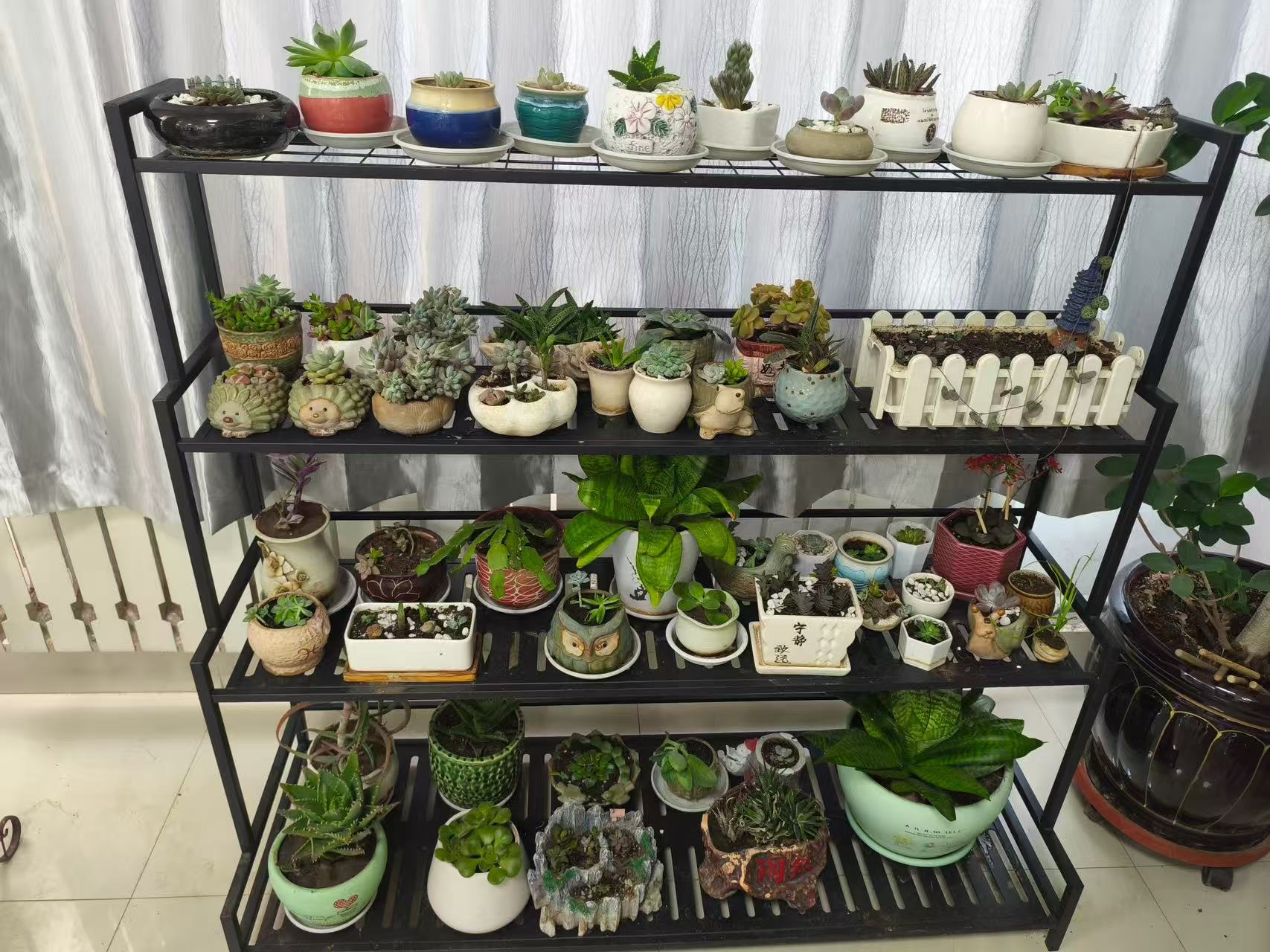 微信图片_20250611115240.jpg 微信图片_20250611115240.jpg